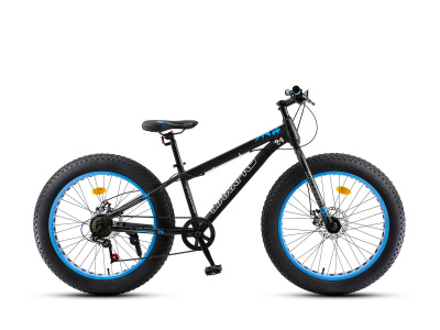Велосипед Maxxpro Fat X24 (Y2440-1 13" Черно-синий)