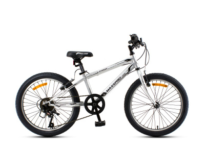 Велосипед Maxxpro Steely 20 lite (2019) ( 122-134 см (7-11 лет) Серебристо-черный)