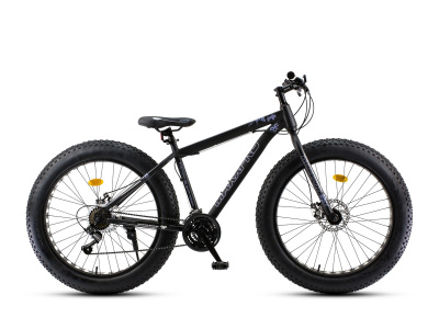 Велосипед Maxxpro Fat X26 (2019) (Y2641-2 18" Черно-серый)