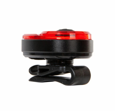 -000329490_p_s -000329490_p_s