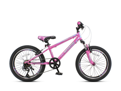 Велосипед Maxxpro Steely 20 (2020) (M2001-5 122-134 см (7-11 лет) Сиренево-голубой)