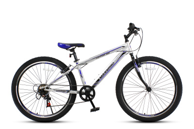 Велосипед Maxxpro Katar 26 (2020) (M2600-3 16" Серебристо-синий)