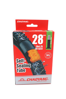 mj6s67eot7jedtrre5iuwqqp460sbb7d