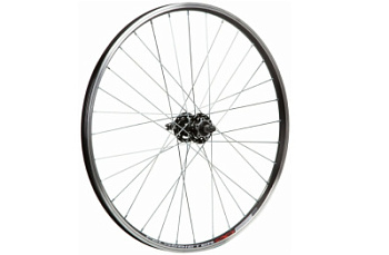 Безымянный