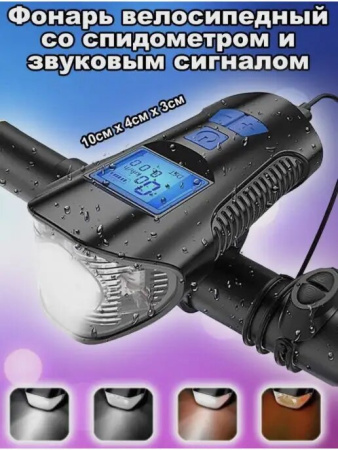 1 (81)